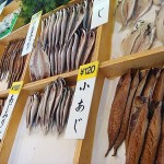 Onsen Theme Park & Himono (Salted dried fish)
