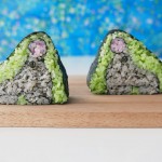 Creative Sushi Roll – Kazari Sushi – Sea Lion